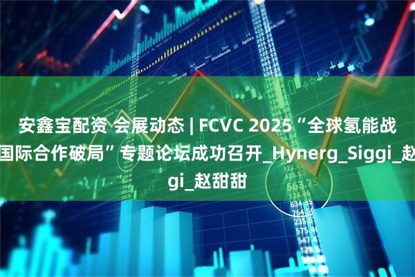安鑫宝配资 会展动态 | FCVC 2025“全球氢能战略:国际合作破局”专题论坛成功召开_Hynerg_Siggi_赵甜甜